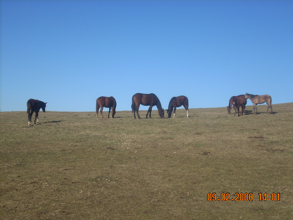 DSCN1758.JPG